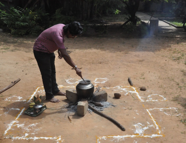 File:2 Celebration of ‘Thai Pongal’ .JPG